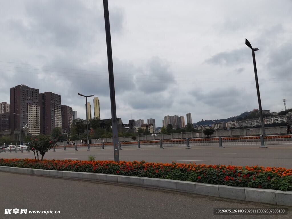 城市道路旁的多彩花卉景观