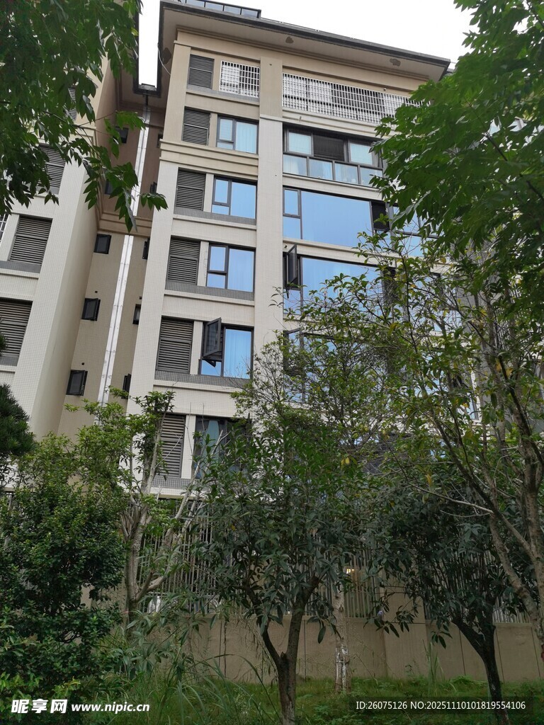 现代住宅旁的绿植景观