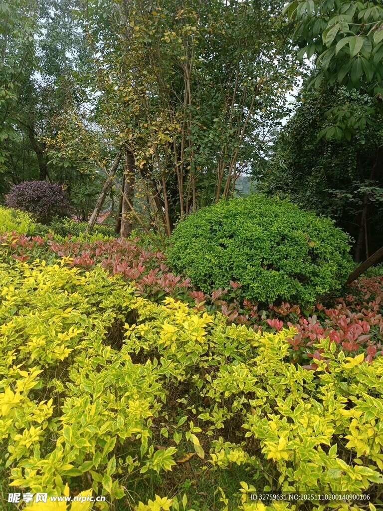 多彩植物装点的园林景观