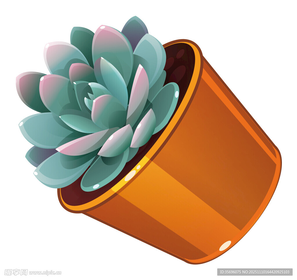 橙色花盆中的可爱多肉