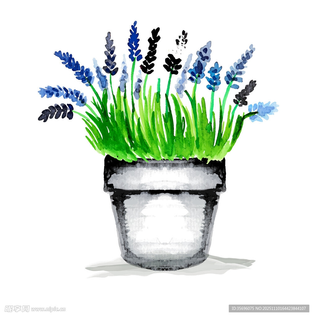 水彩绘花盆中的蓝紫色花草