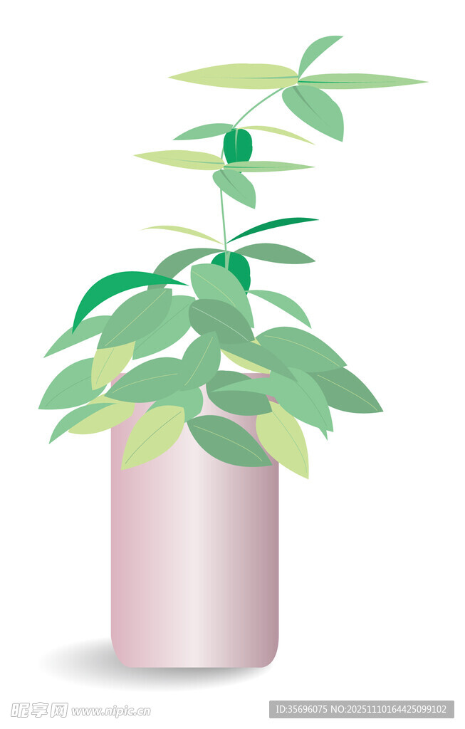 简约盆栽绿植清新雅致