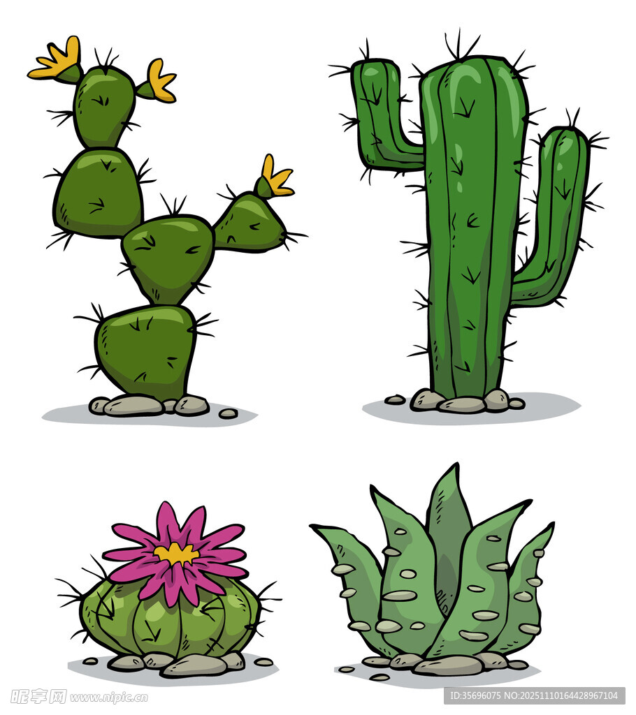 多样仙人掌植物插画