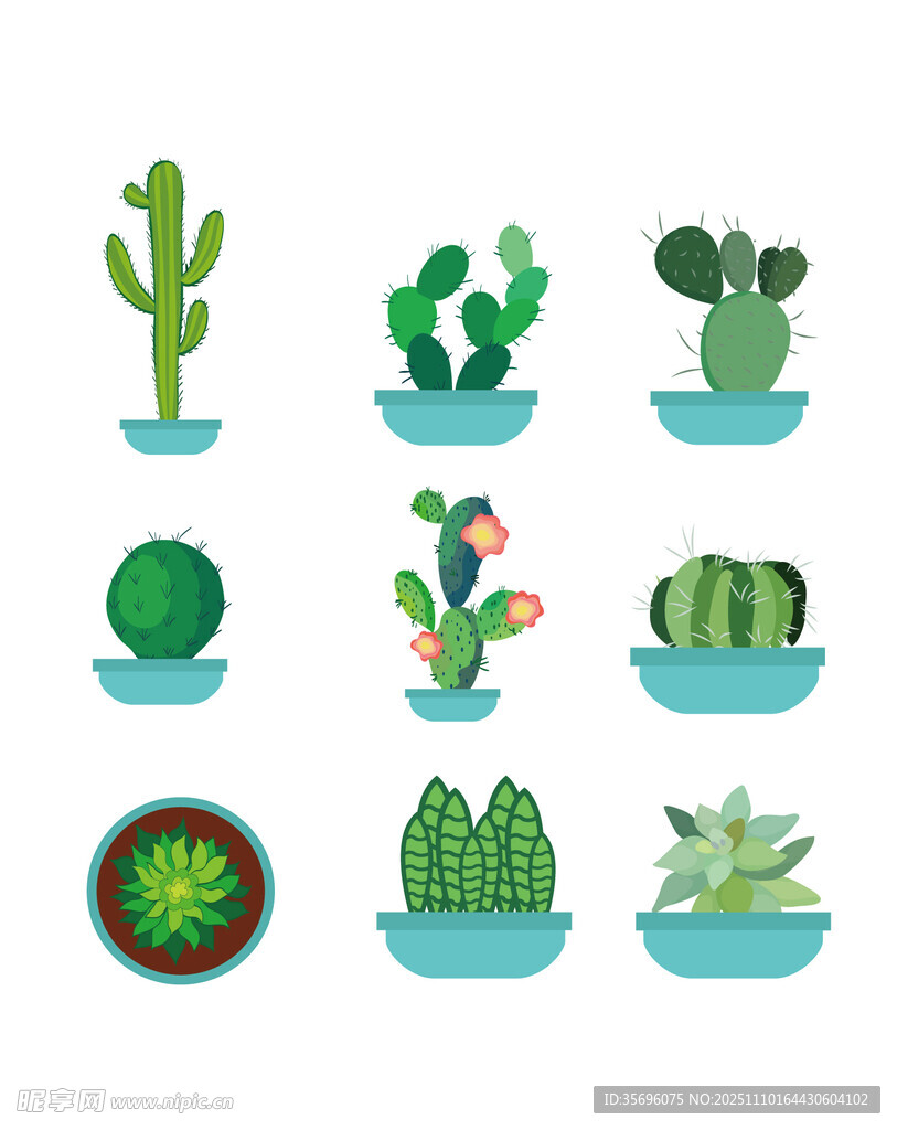 多样可爱仙人掌盆栽集合