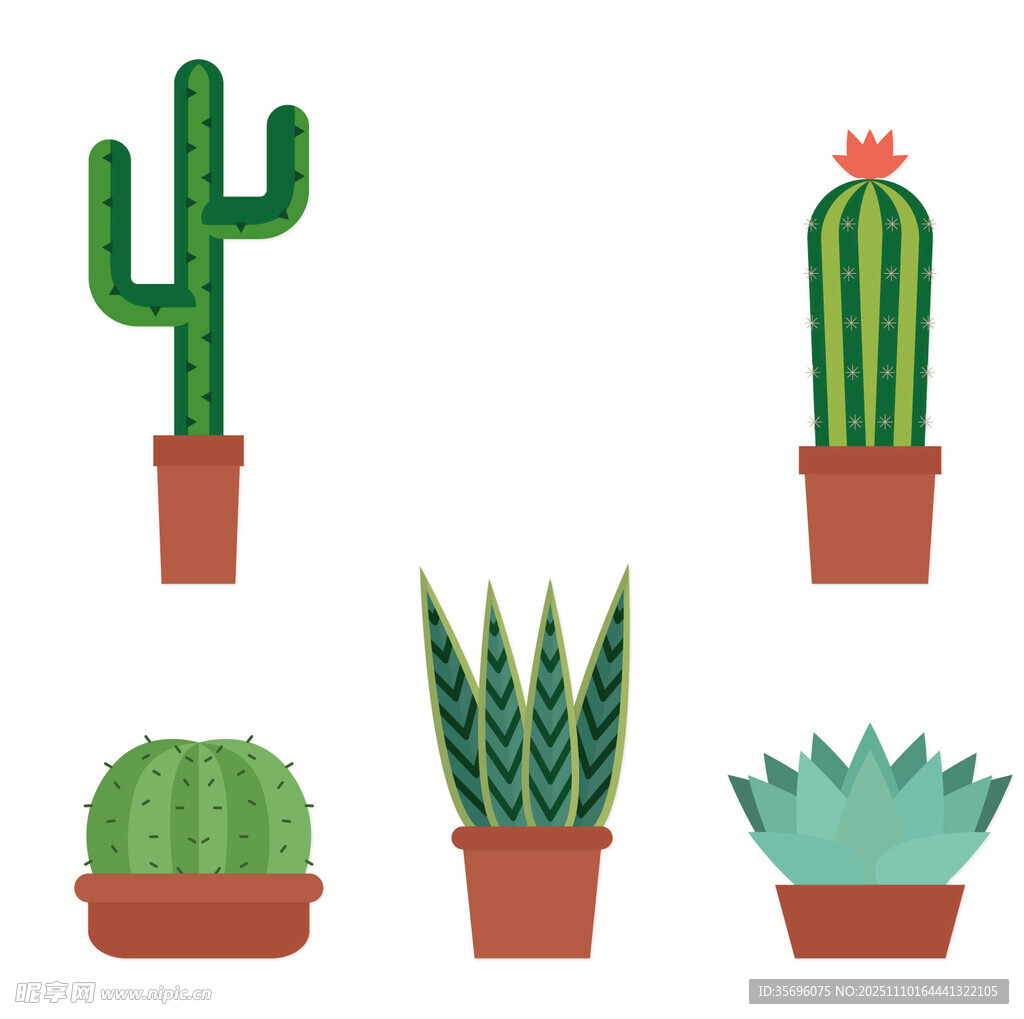 多样仙人掌盆栽插画