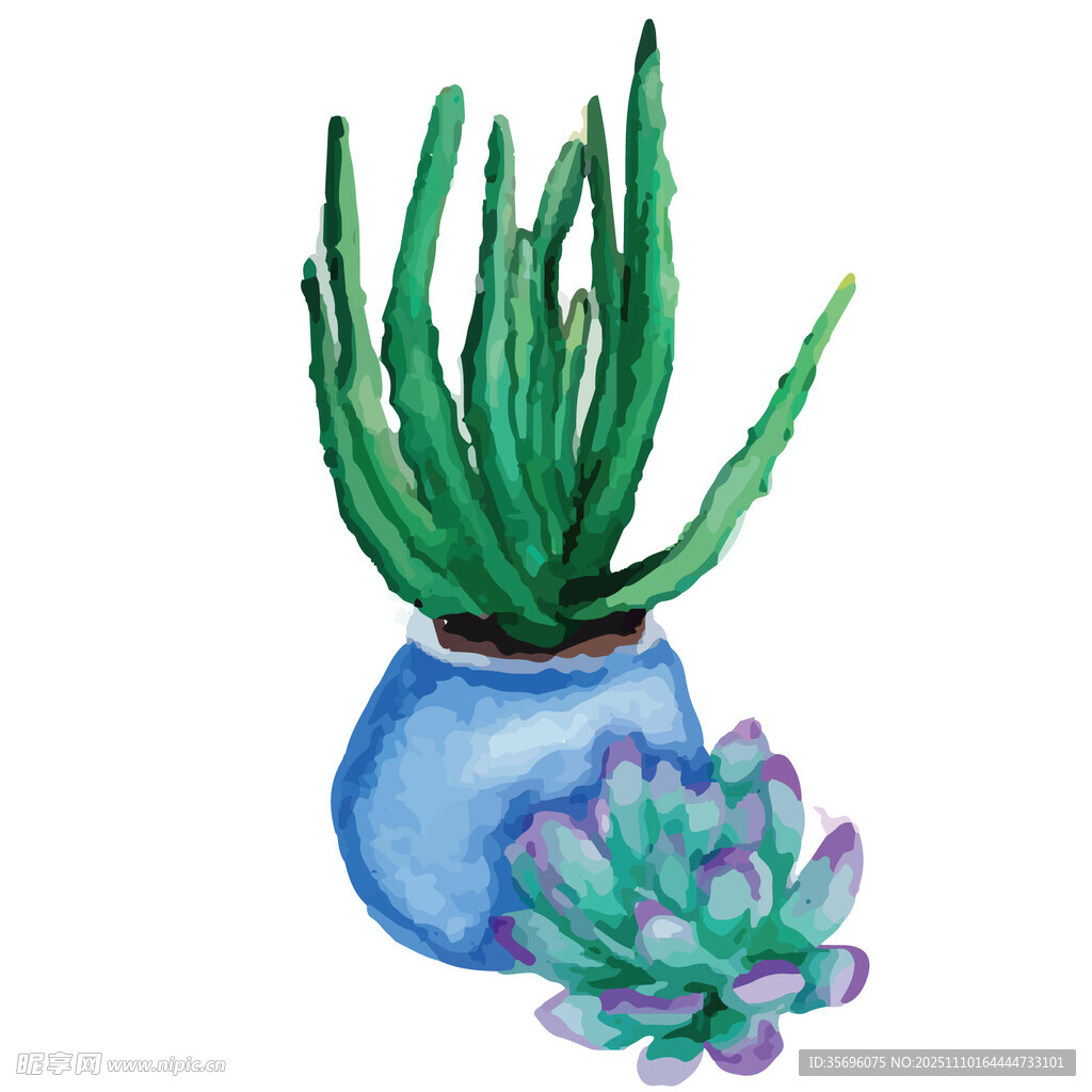 蓝色花瓶中的仙人掌与多肉