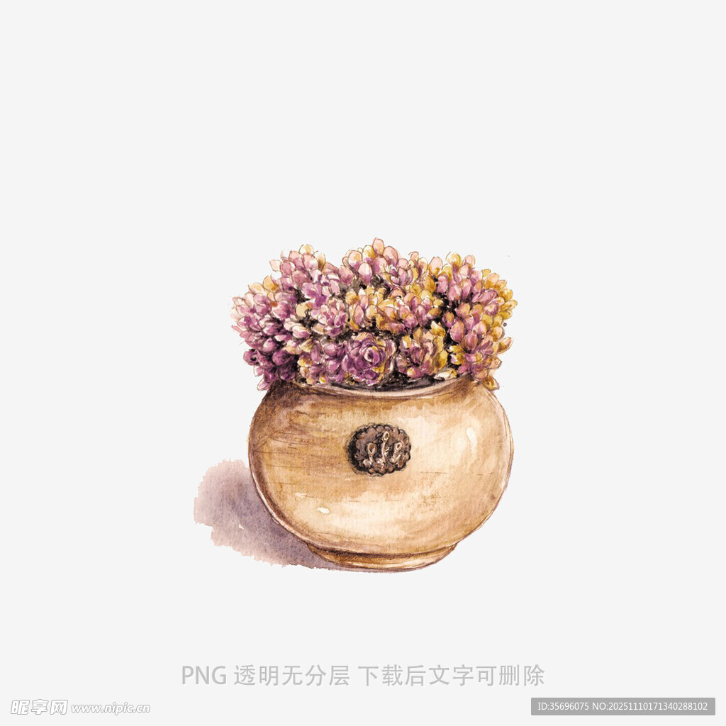 陶罐中的紫色花卉