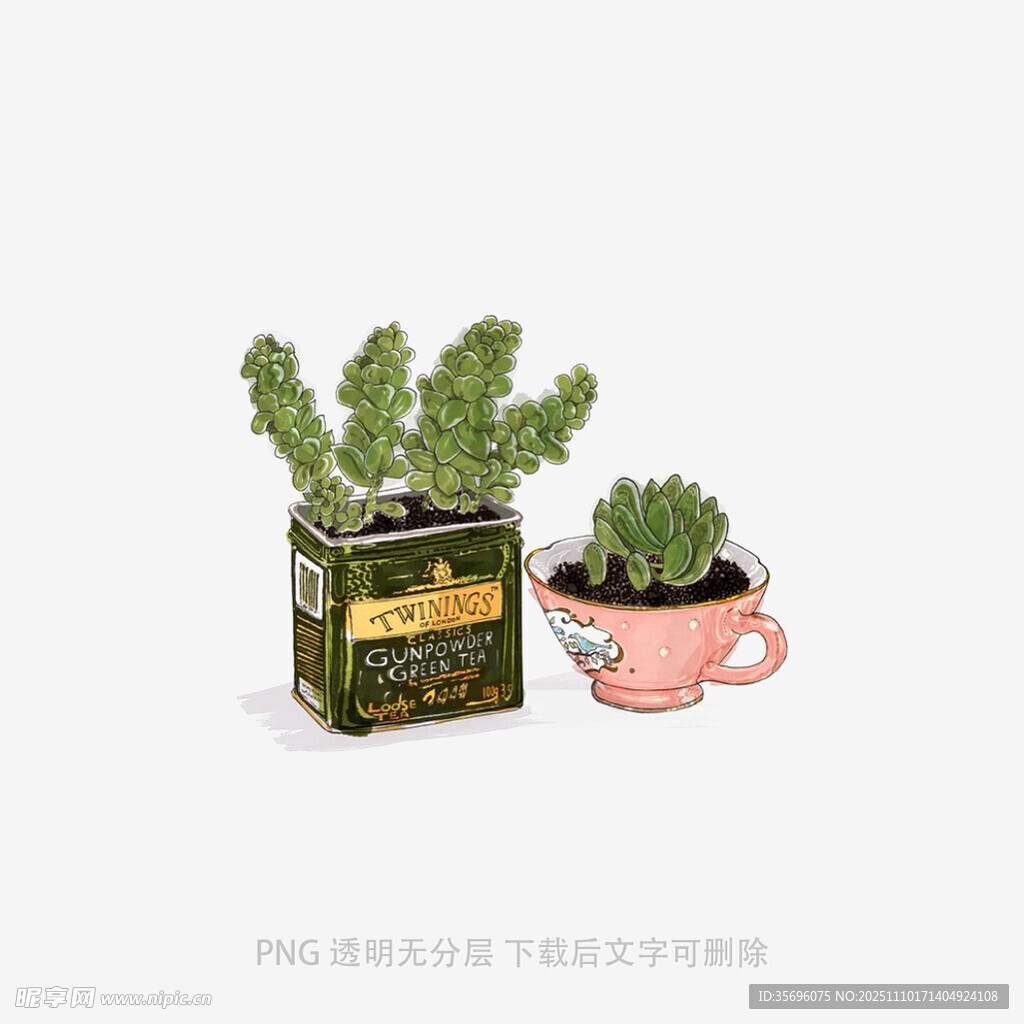 可爱小盆栽萌趣绿植组合