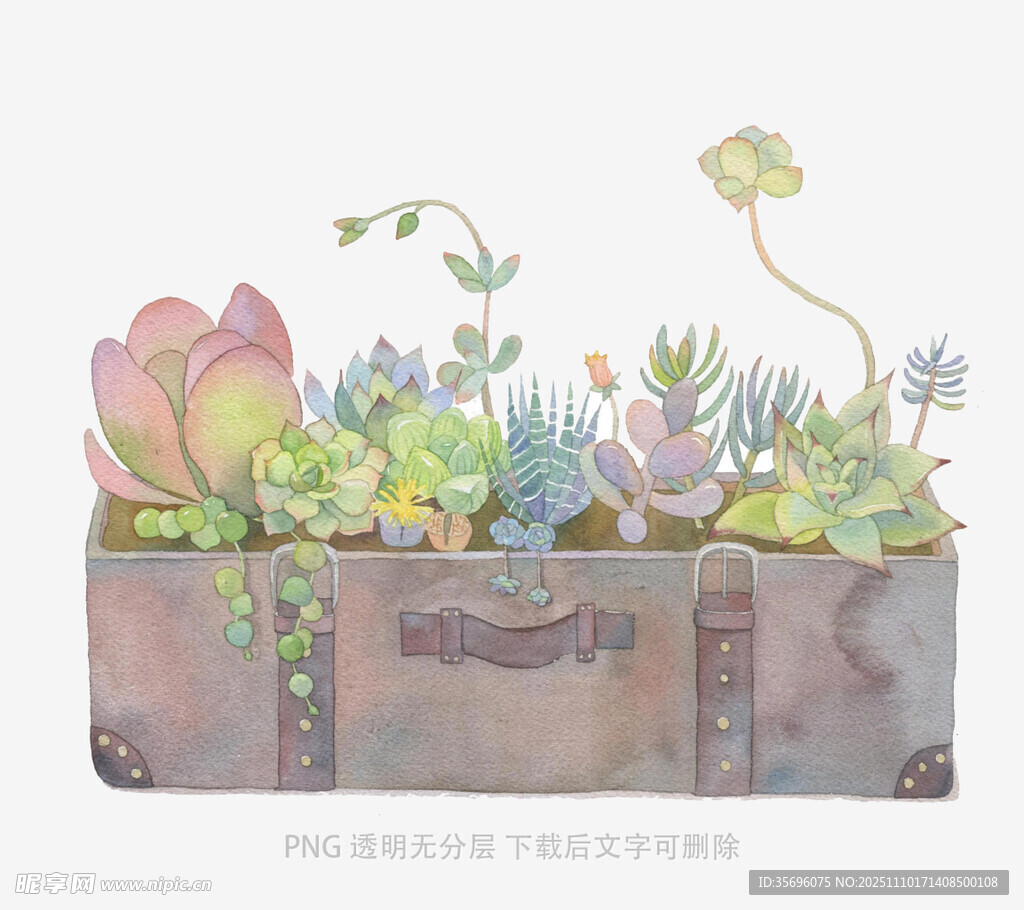 复古箱中的多肉植物景观