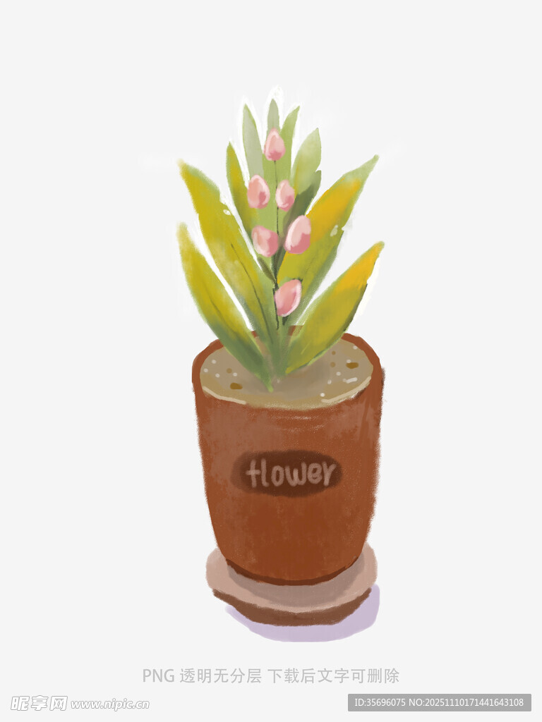 手绘多肉盆栽小景