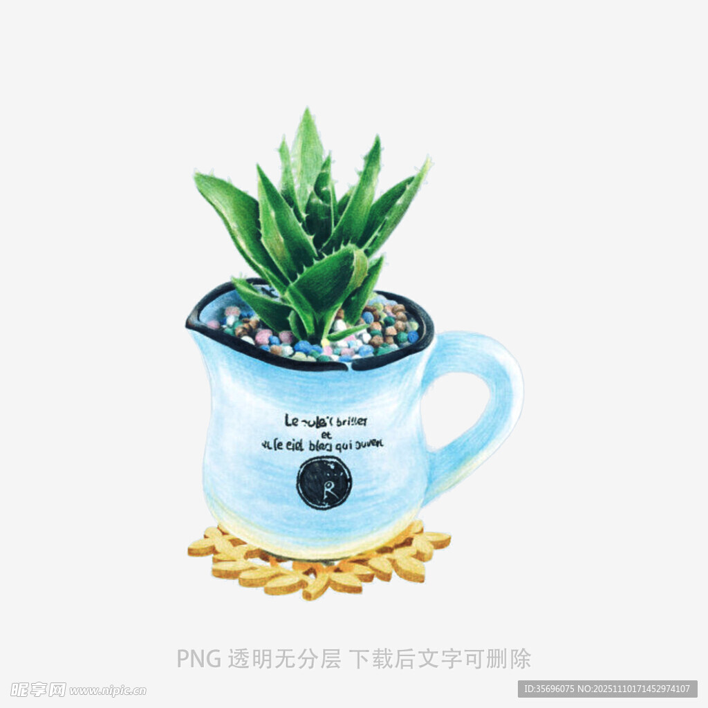 蓝色杯植绿植清新画面