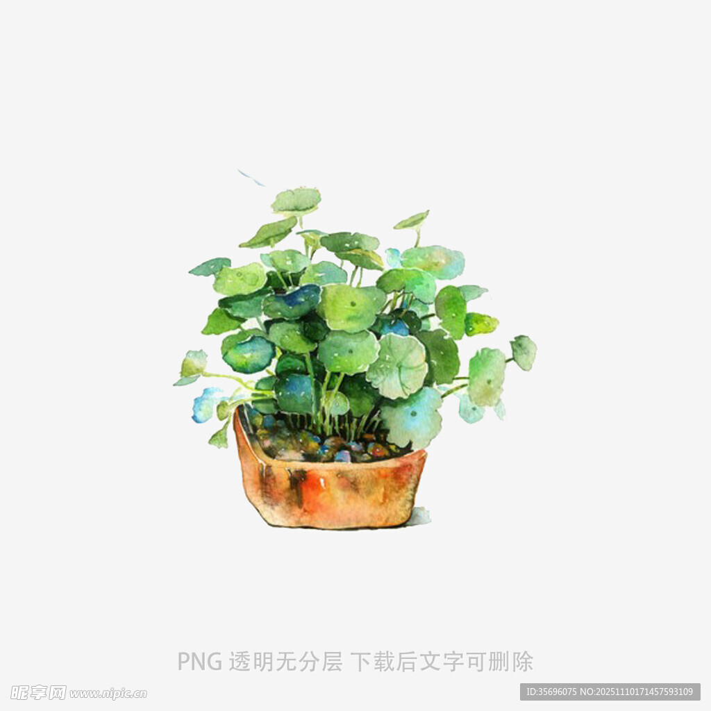 手绘盆栽绿植清新小景