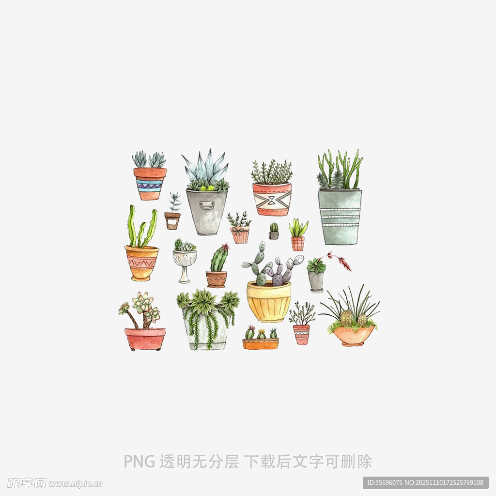 可爱手绘风多肉盆栽集合