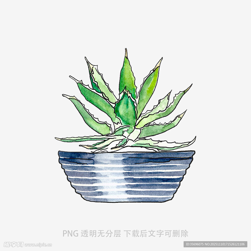 手绘蓝盆中的翠绿芦荟