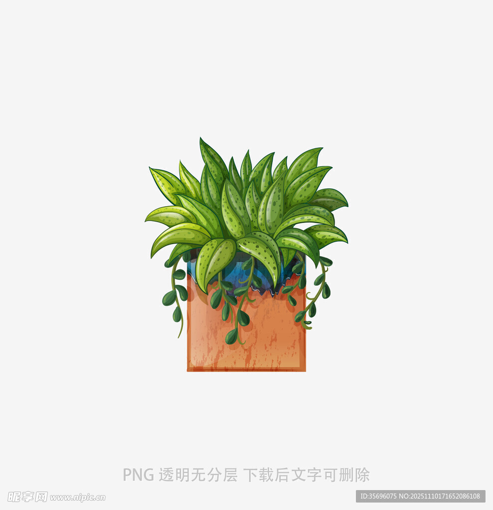盆栽绿植插画