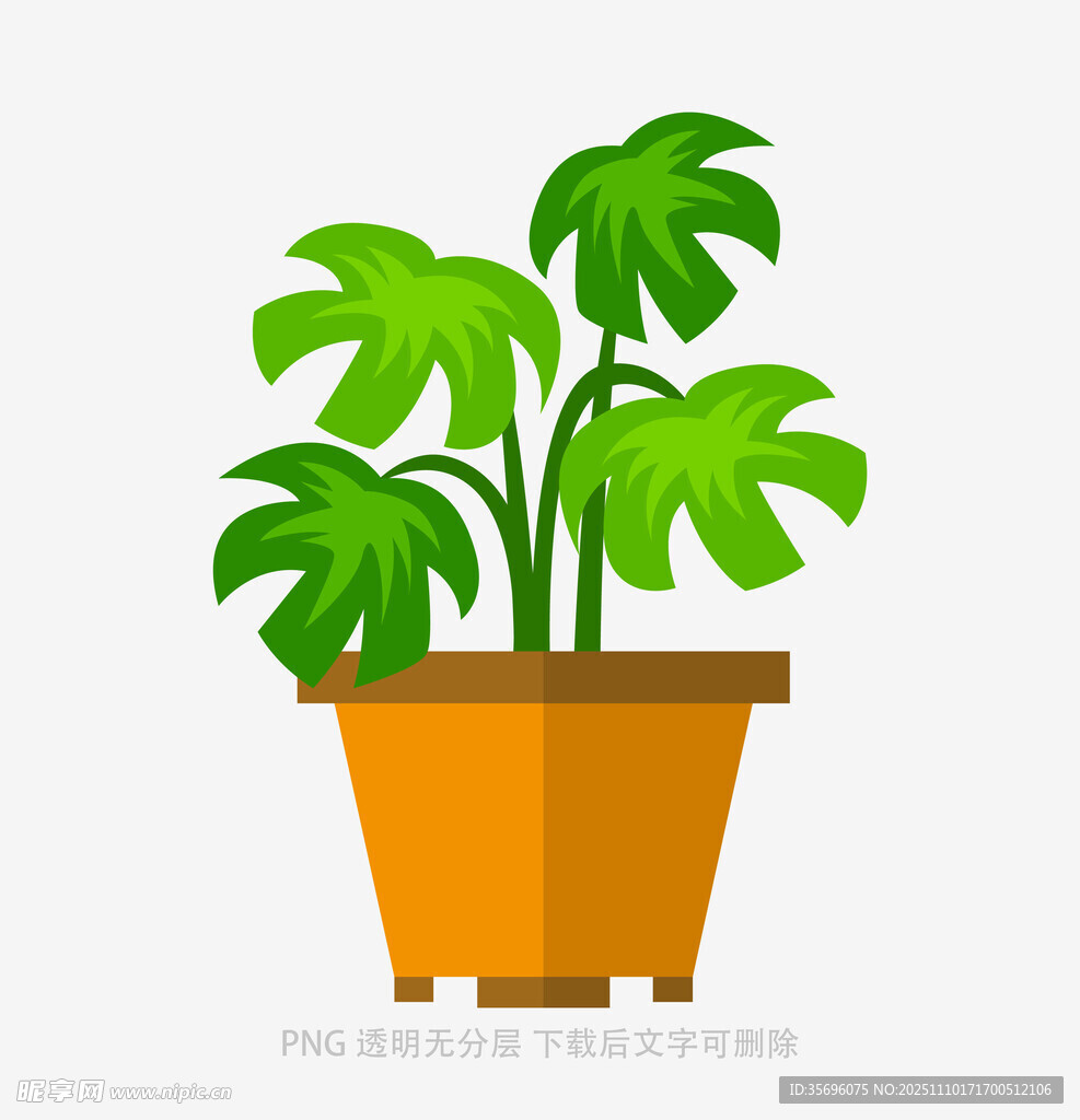 盆栽绿植清新室内小景