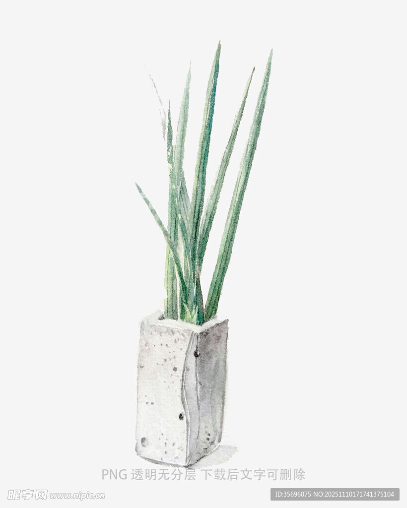 简约水泥花瓶中的绿植