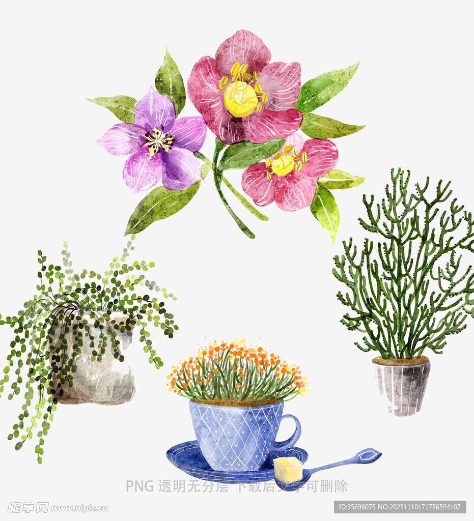 水彩绘盆栽花卉组合