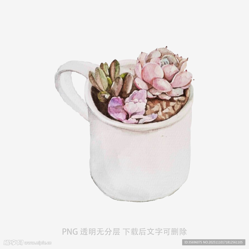 白色杯中的粉嫩多肉植物