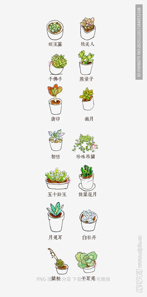 蔬菜生长周期图示