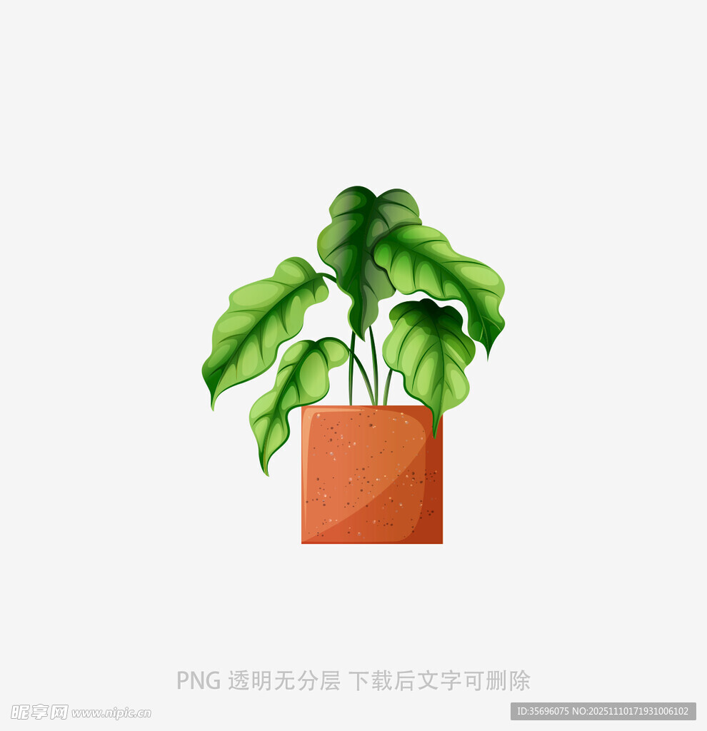 橙色花盆中的翠绿植物