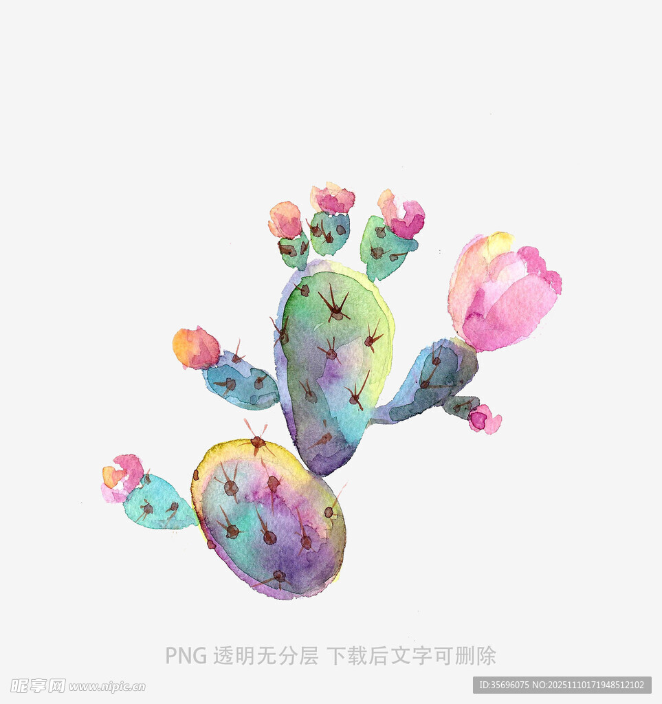 多彩手绘仙人掌图案设计