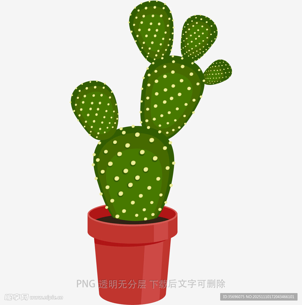 红色花盆中的可爱仙人掌