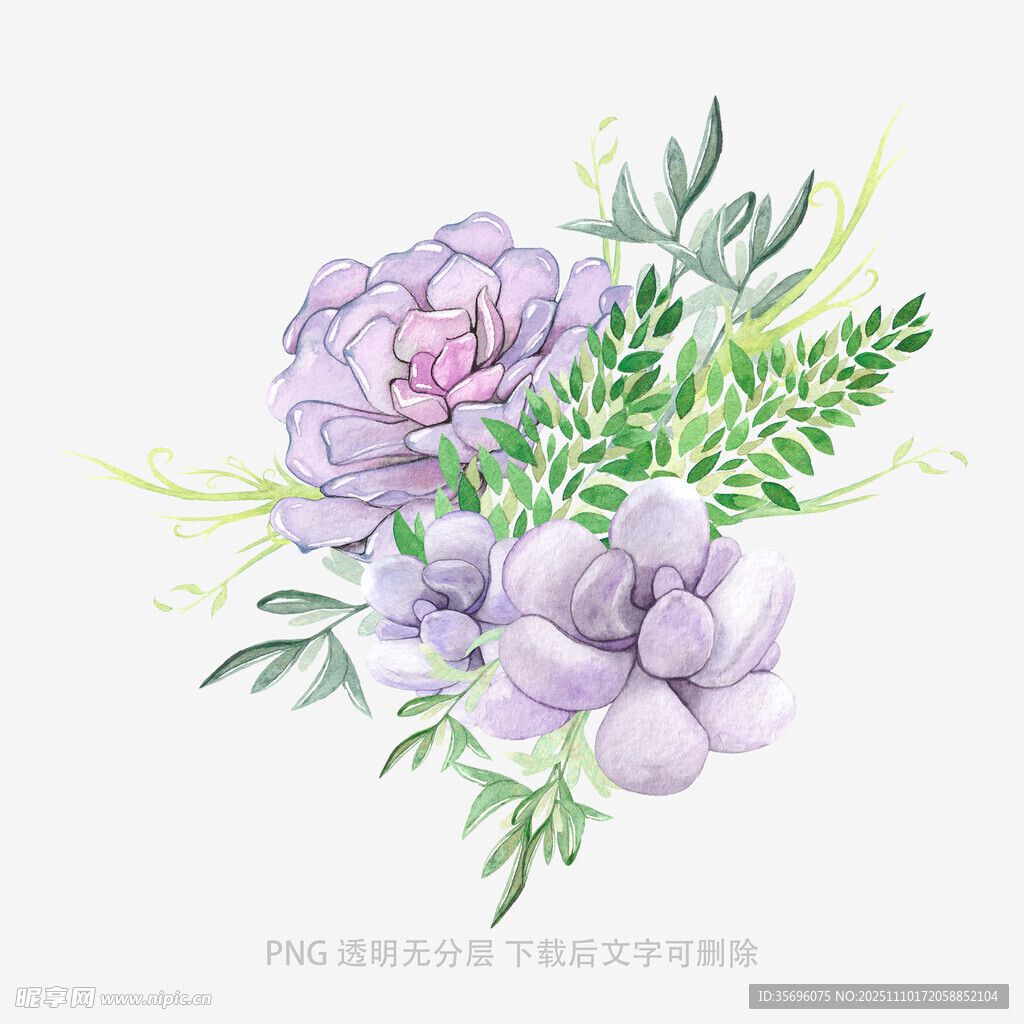紫色花卉水彩插画