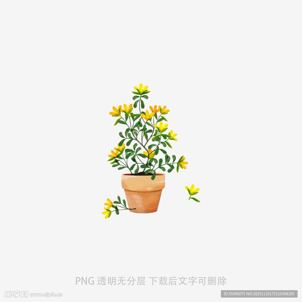 盆栽小黄花插画