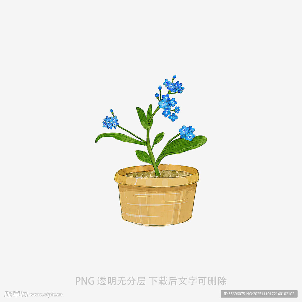 盆栽蓝花插画