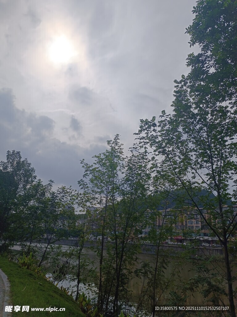 阴天河畔绿树风景图