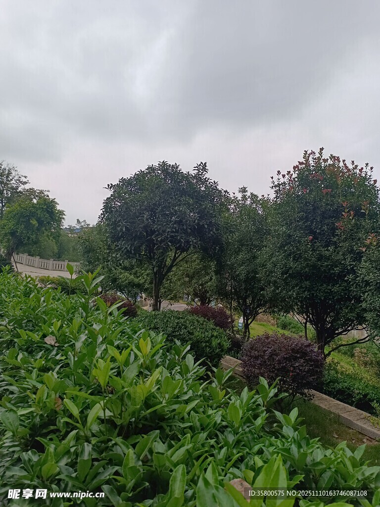 绿意盎然的园林景观