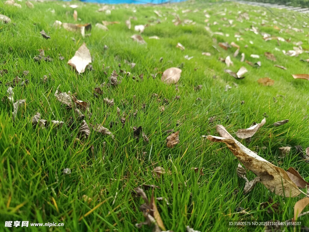 草地上的杂物与垃圾