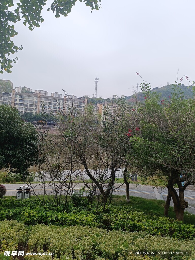 城市公园绿意景观