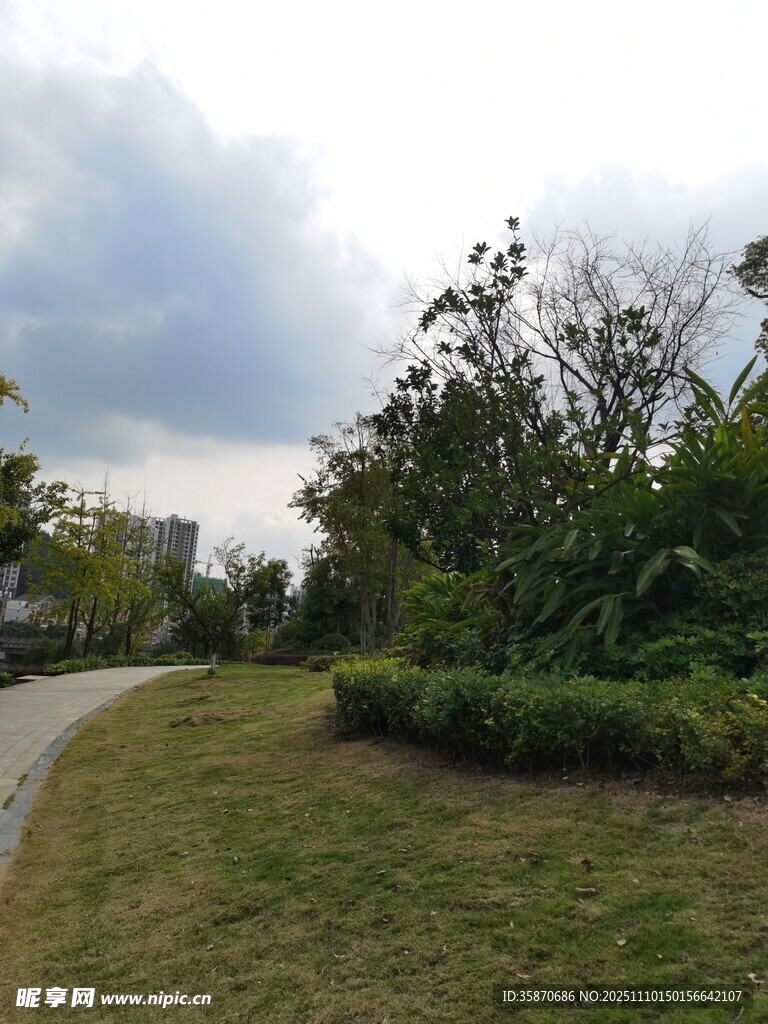 户外绿意盎然的小径景观