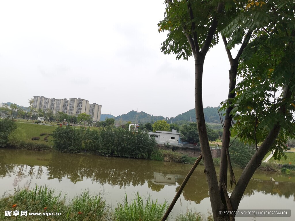 湖畔绿树与远处建筑景观