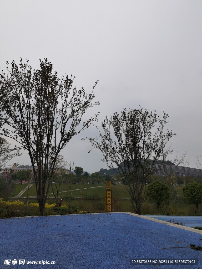 户外蓝色场地与树木景观