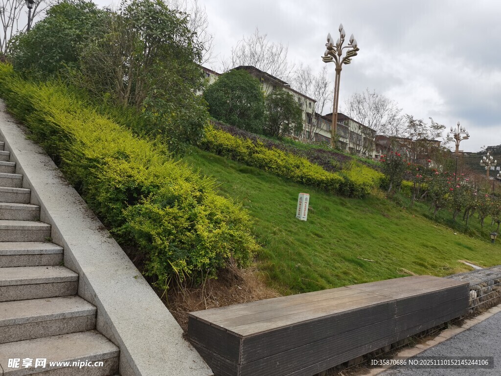 城市阶梯旁的绿植景观