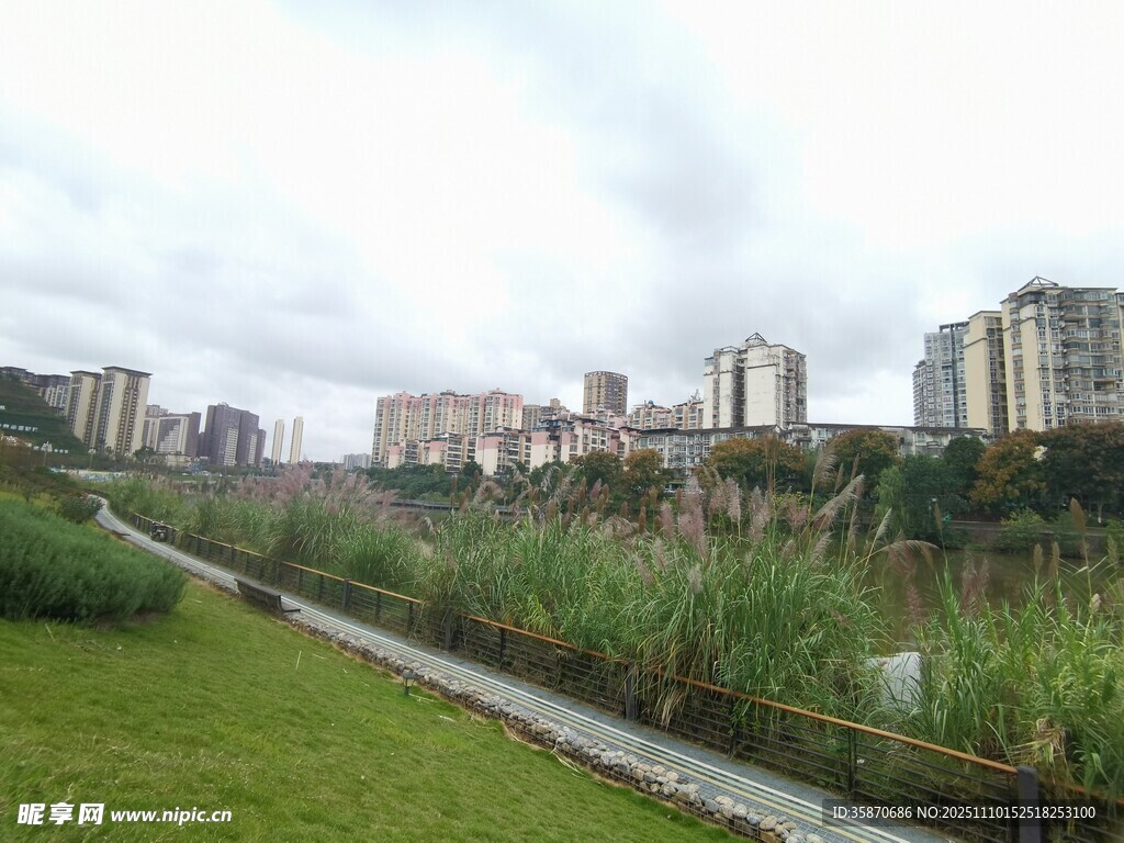 城市绿地旁的高楼景观