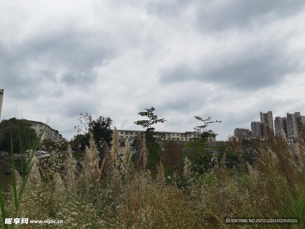 野外草地与远处建筑景观