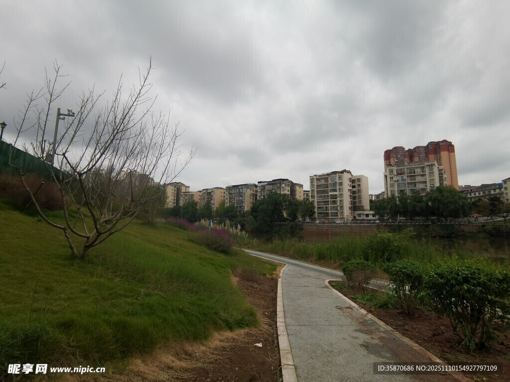 城郊小路旁的楼房与绿地