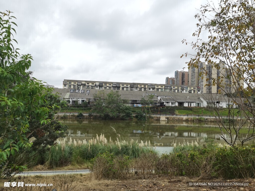 河畔旁的建筑与绿植景观