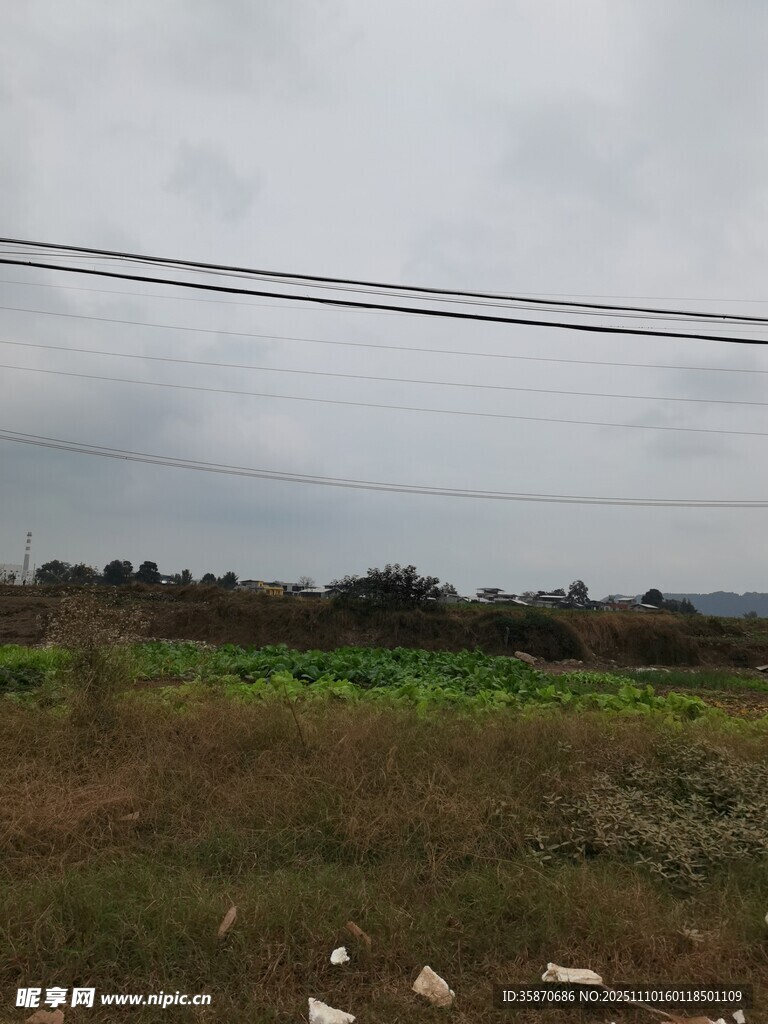 田野风光电线横跨天际