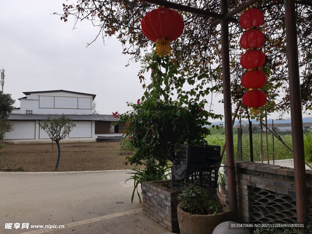乡村庭院挂红灯笼景象