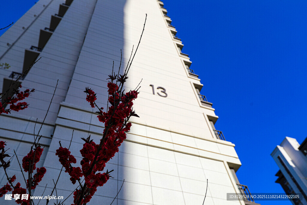 白色建筑与枝头红叶