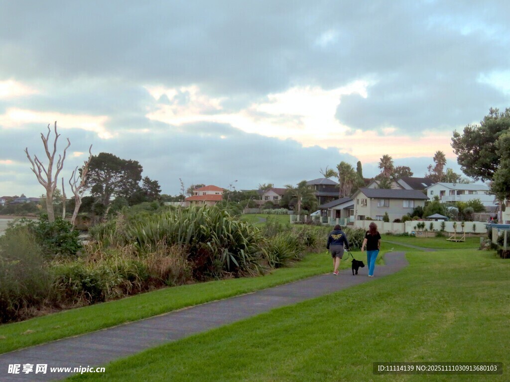 漫步绿意小径的悠闲时光