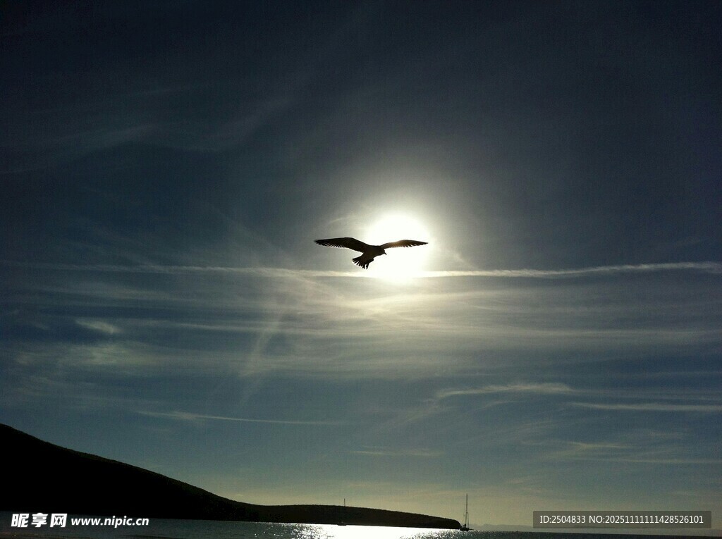 海上飞鸟伴夕阳美景