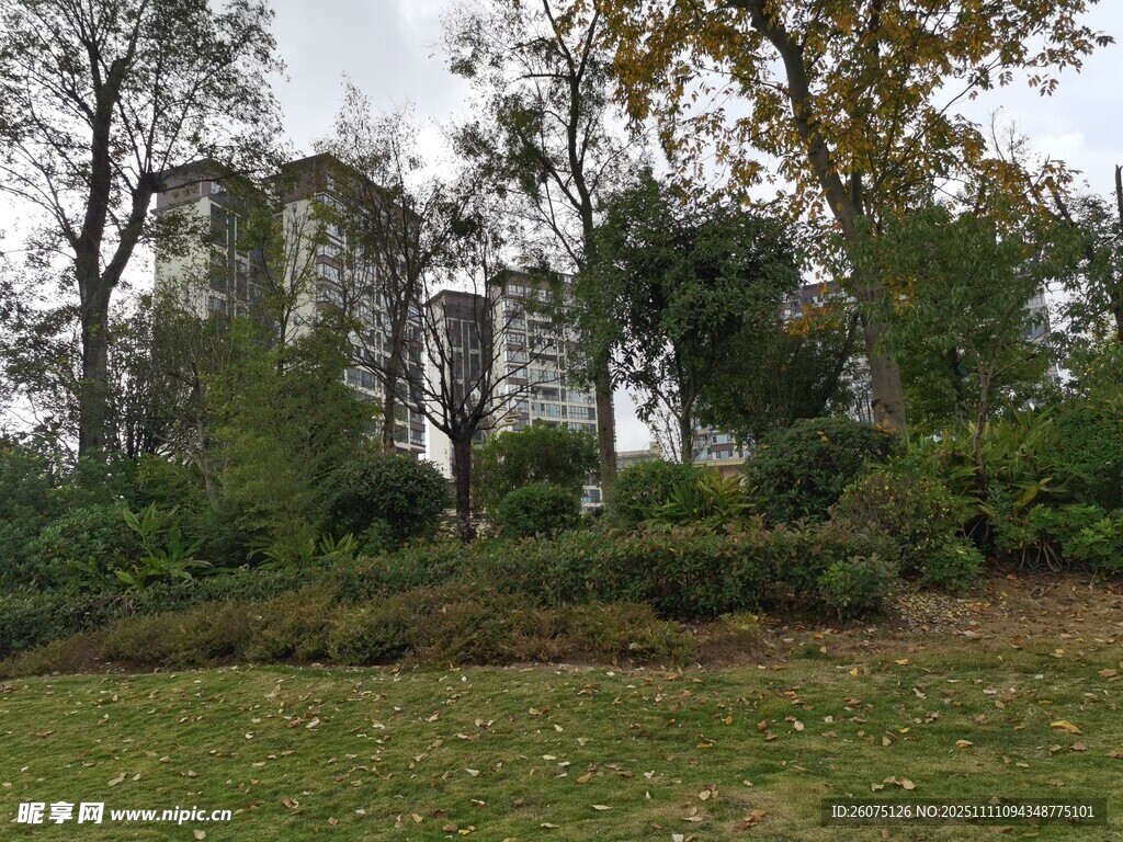 户外绿意盎然的自然景致