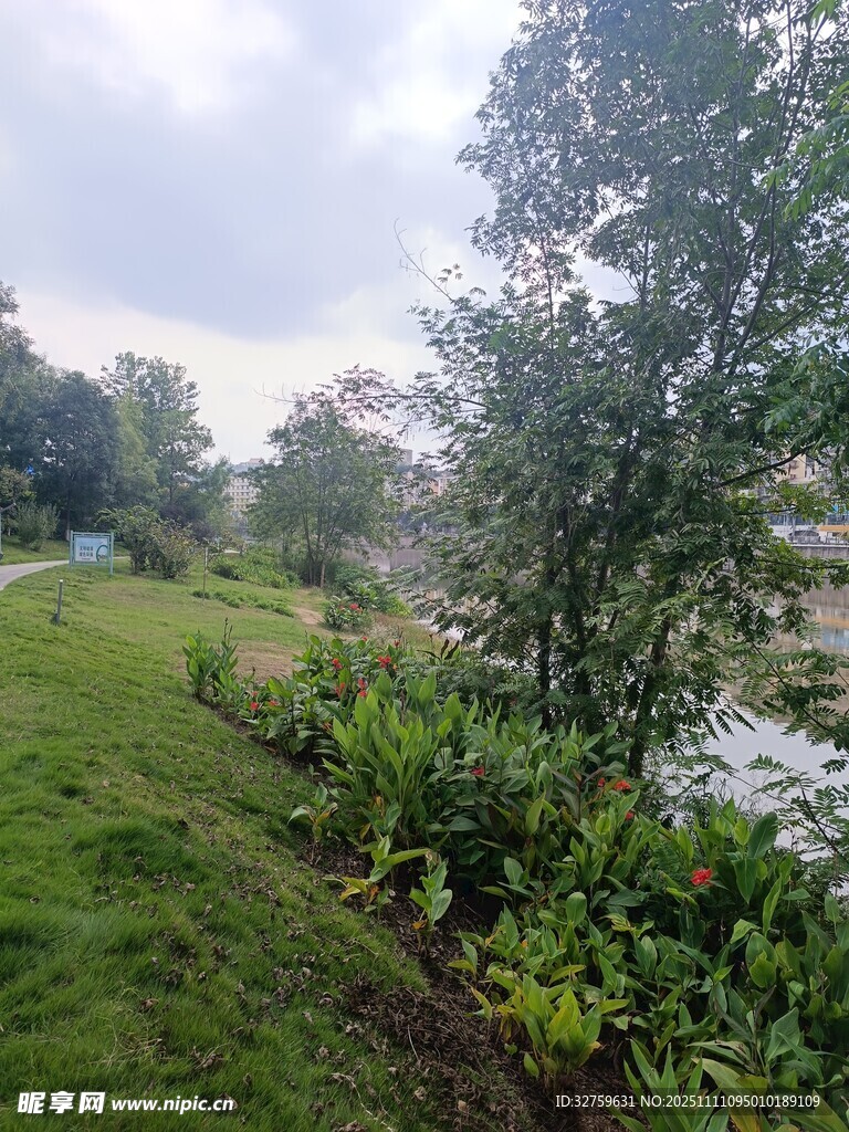 绿意盎然的户外自然景致