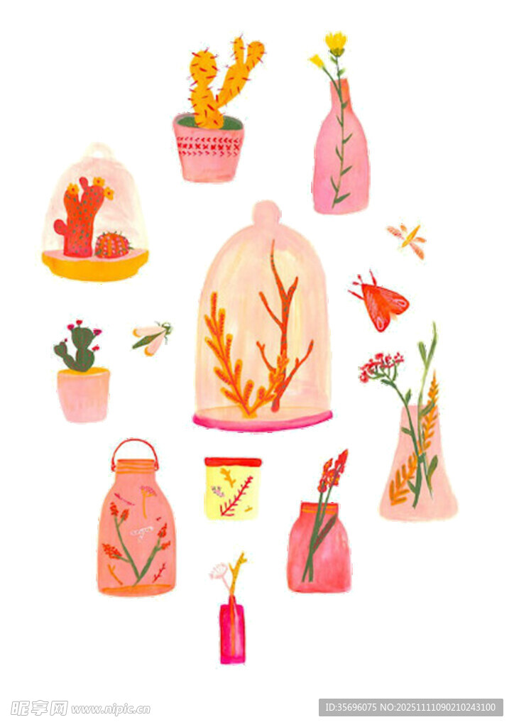 手绘多彩植物瓶罐插画